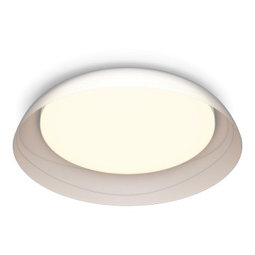 Philips - Himmennettävä LED-kattovalaisin FLETA LED/10W/230V 2700K läpinäkyvä