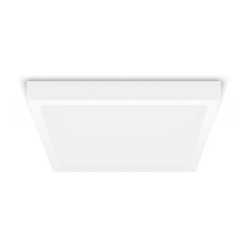 Philips - LED-kattovalaisin MAGNEOS LED / 20W / 230V 2700K valkoinen