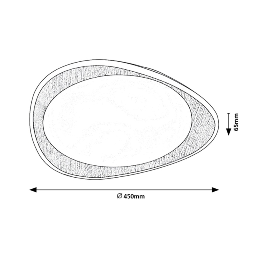 Rabalux - LED-kattovalaisin LED/24W/230V