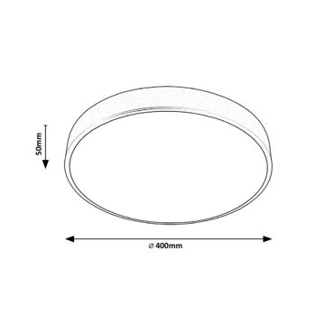 Rabalux - LED-kattovalaisin TESIA LED/36W/230V 40 cm hopea