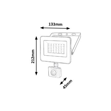 Rabalux - LED-valonheitin anturilla LED/30W/230V 4000K IP44 musta