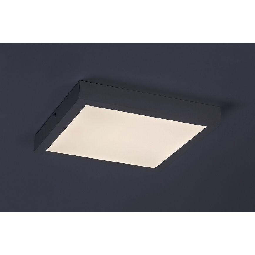 Rabalux - Kiinteä LED-paneeli LED/18W/230V 4000K 30x30 cm