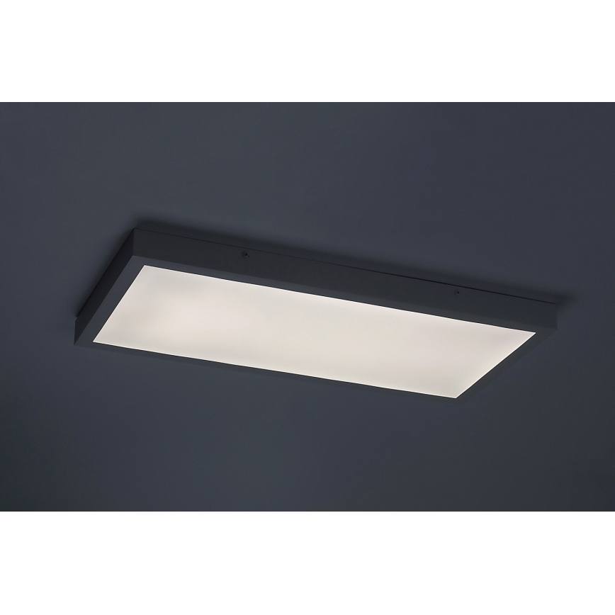 Rabalux - Kiinteä LED-paneeli LED/24W/230V 4000K 60x30 cm