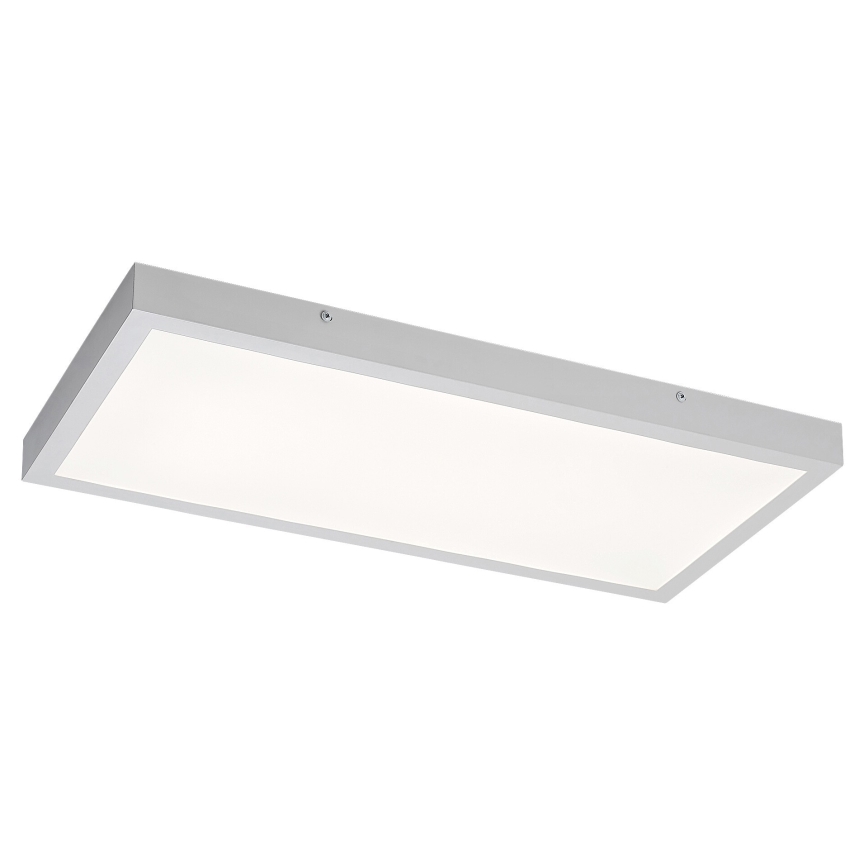 Rabalux - Kiinteä LED-paneeli LED/24W/230V 4000K 60x30 cm