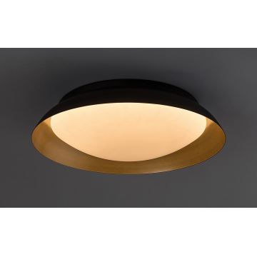 Rabalux - LED-kattovalaisin LED/24W/230V 3000K halkaisija 40 cm