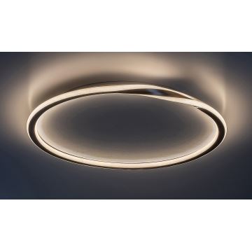 Rabalux - LED-kattovalaisin LED/40W/230V kulta