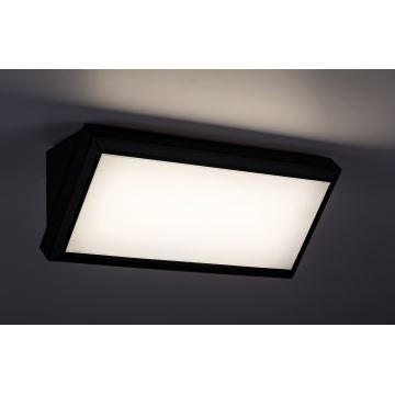 Rabalux - LED ulkoseinävalaisin LED/12W/230V IP54