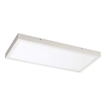 Rabalux - Kiinteä LED-paneeli LED/24W/230V 4000K 60x30 cm