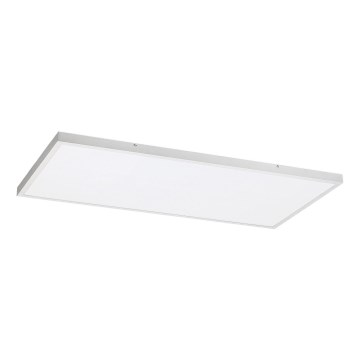 Rabalux - Kiinteä LED-paneeli LED/80W/230V 4000K 120x60 cm