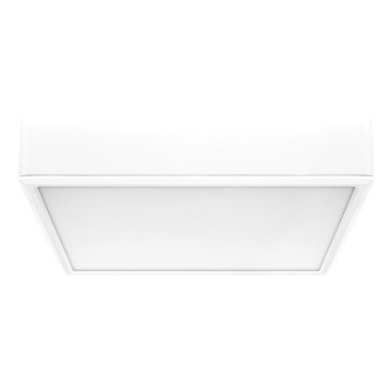 Rabalux - LED-kattovalaisin LED/22W/230V 3000/4000/6000K 21x21 cm valkoinen