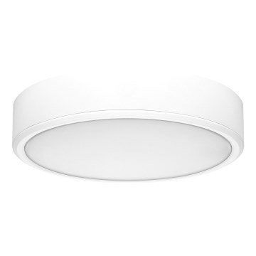 Rabalux - LED-kattovalaisin LED/22W/230V 3000/4000/6000K halkaisija 21 cm valkoinen