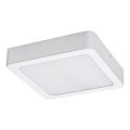 Rabalux - LED-kattovalaisin LED/24W/230V 3000K 22x22 cm valkoinen