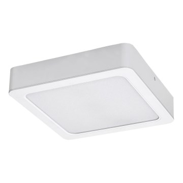 Rabalux - LED-kattovalaisin LED/7W/230V 3000K 12x12 cm valkoinen