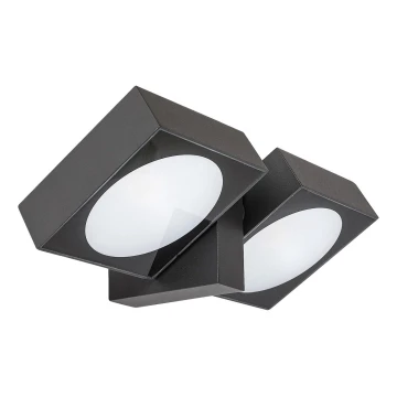 Rabalux - LED Ulkotila wall flexible kevyt 2xLED/7W/230V IP54 antrasiitti