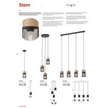 Redo 01-3141 - Kattokruunu johdossa STEM 1xE27/42W/230V