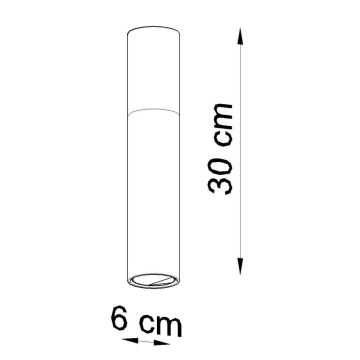 Kattovalo PABLO 1xGU10/40W/230V valkoinen/pyökki