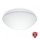 Steinel 056131 - LED-kattovalaisin kylpyhuoneeseen RS PRO LED P3 LED/19,5W/230V IP54 3000K