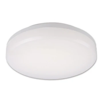 Top Light Leon K - LED-ulkokattovalaisin LEON LED/15W/230V IP44