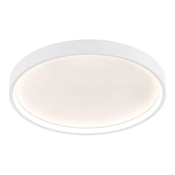 Wofi 12055 - LED-himmennettävä kattovalaisin DUBAI LED/27,5W/230V valkoinen