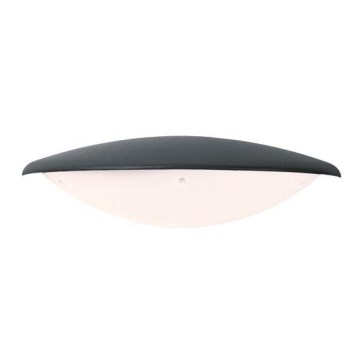 Zambelis E115 - LED-ulkoseinävalaisin LED/6W/230V IP54 antrasiitti